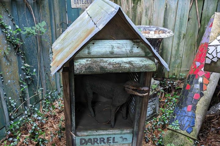 A dogigator named Darrel in a dogigator house.